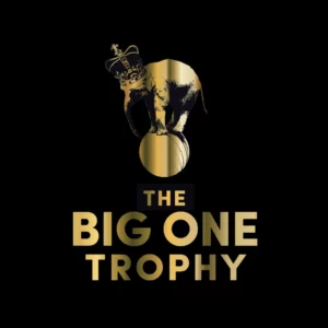 Ciseaux de coiffure Insolent - Big One Trophy