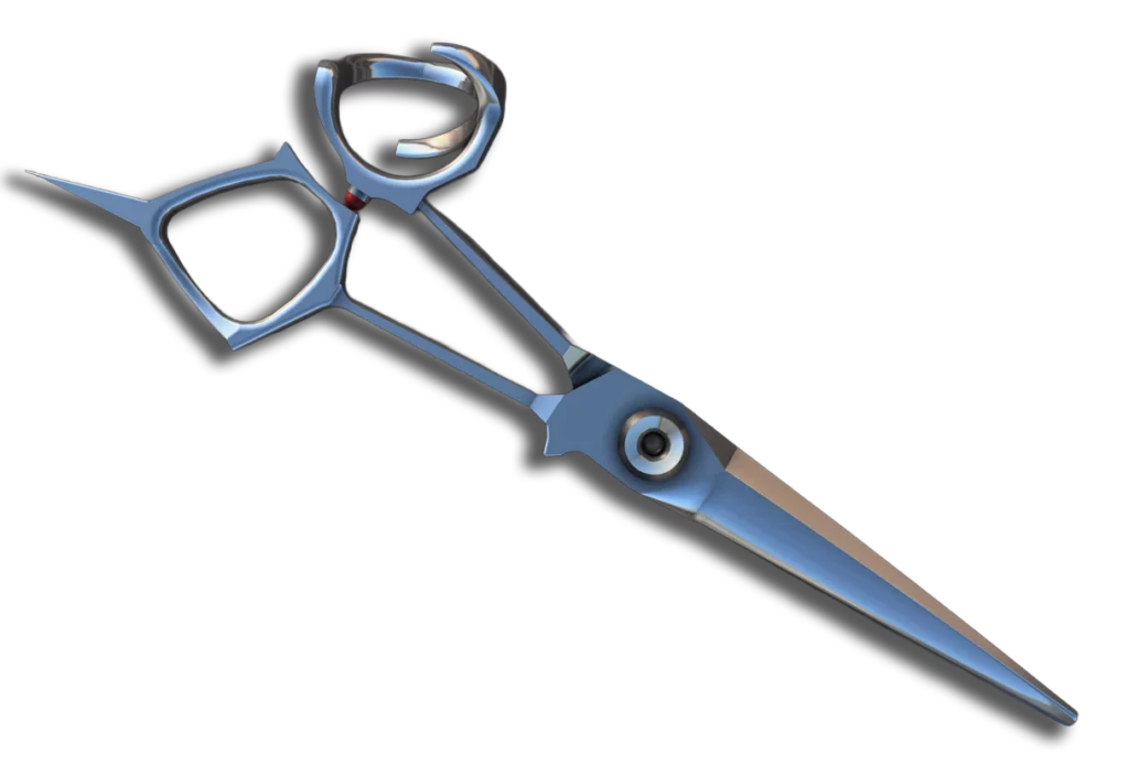 Ciseaux de coiffure ergonomiques - Insolent