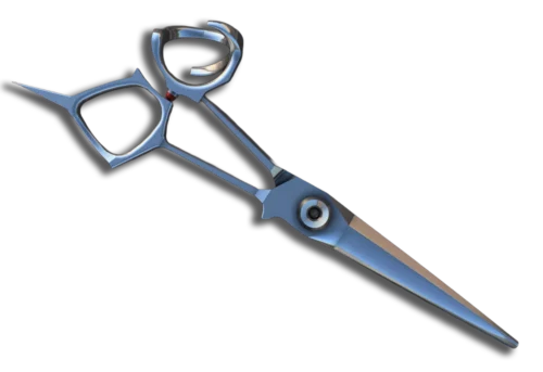 Ciseaux de coiffure ergonomiques - Insolent
