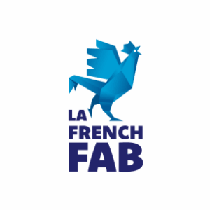 Ciseaux de coiffure Insolent - French Fab