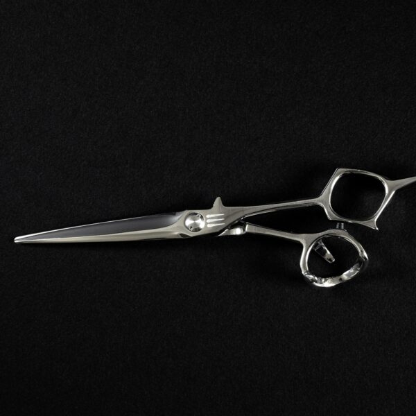 Ciseaux pour coiffeur ergonomique professionnel - LECHERY - INSOLENT